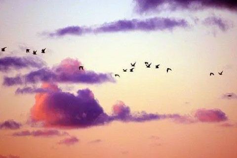 没事多看书，人穷多挣钱