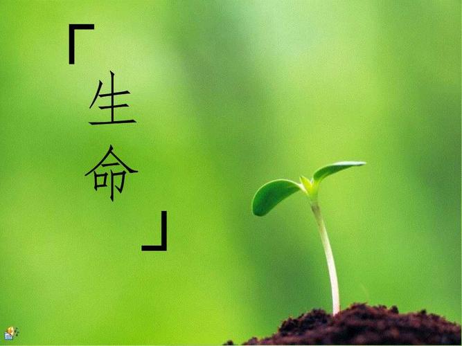 生命的意义是什么