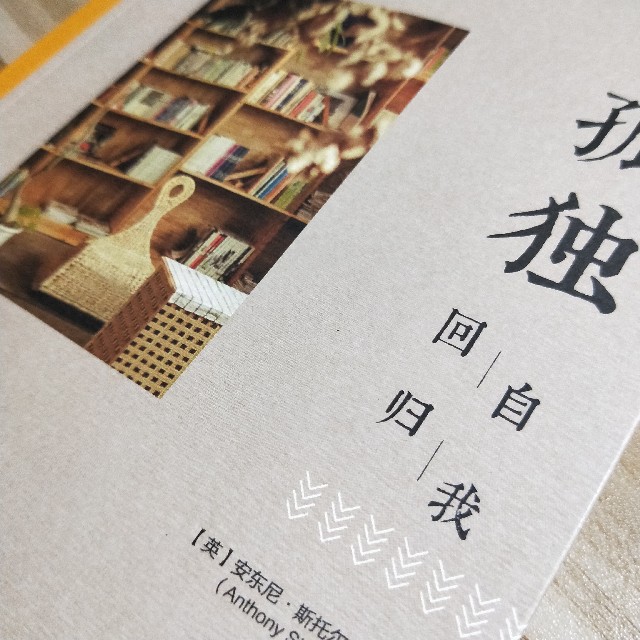 孤独：回归自我