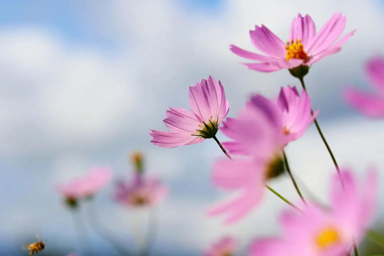 什么样的人值得深交？