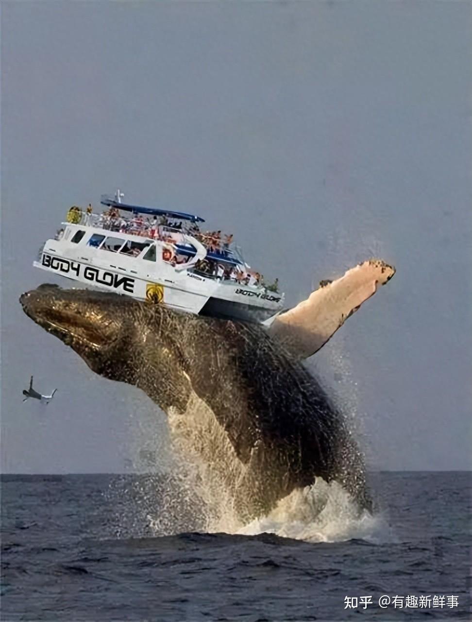 28张震撼图片，一张比一张震撼