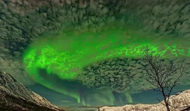 10张令人惊艳的大自然照片