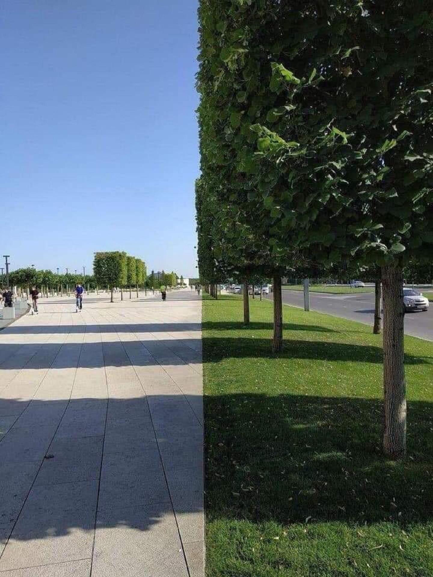 换个角度看世界，结果很美妙，60张未经PS处理的照片！