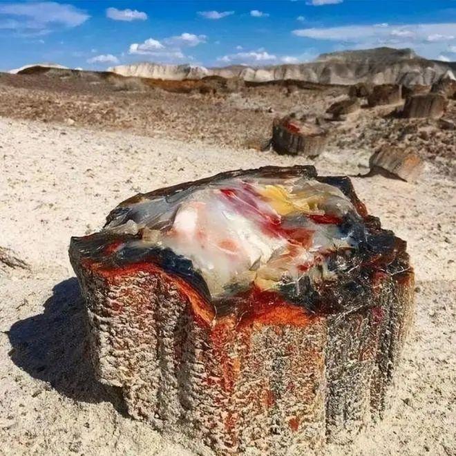 27张震撼照片：大自然的奇妙超乎想象