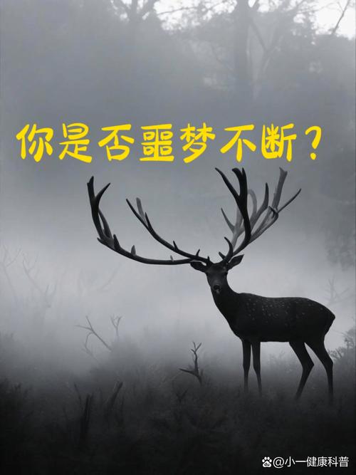 人为什么总是被噩梦纠缠？