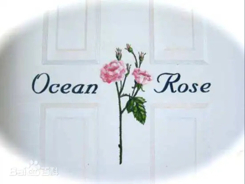 Shine Dion：Ocean Rose
