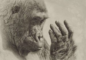 其实你需要更多的自我意识